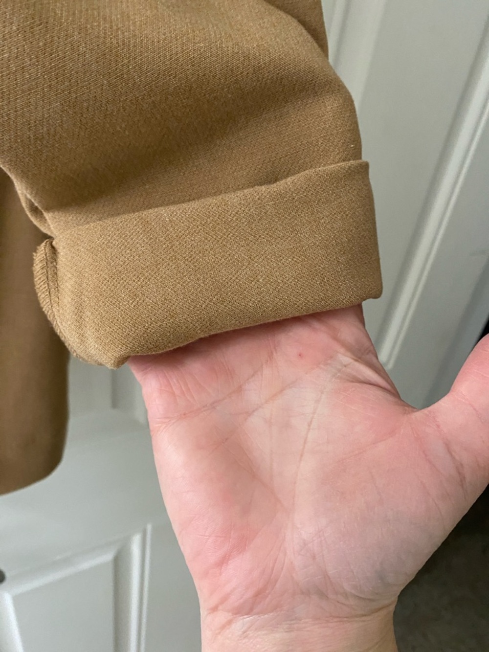Maurice’s Camel Single-Button Blazer - Picture 6 of 10